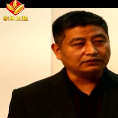 西洋参农林卫视,2018工厂