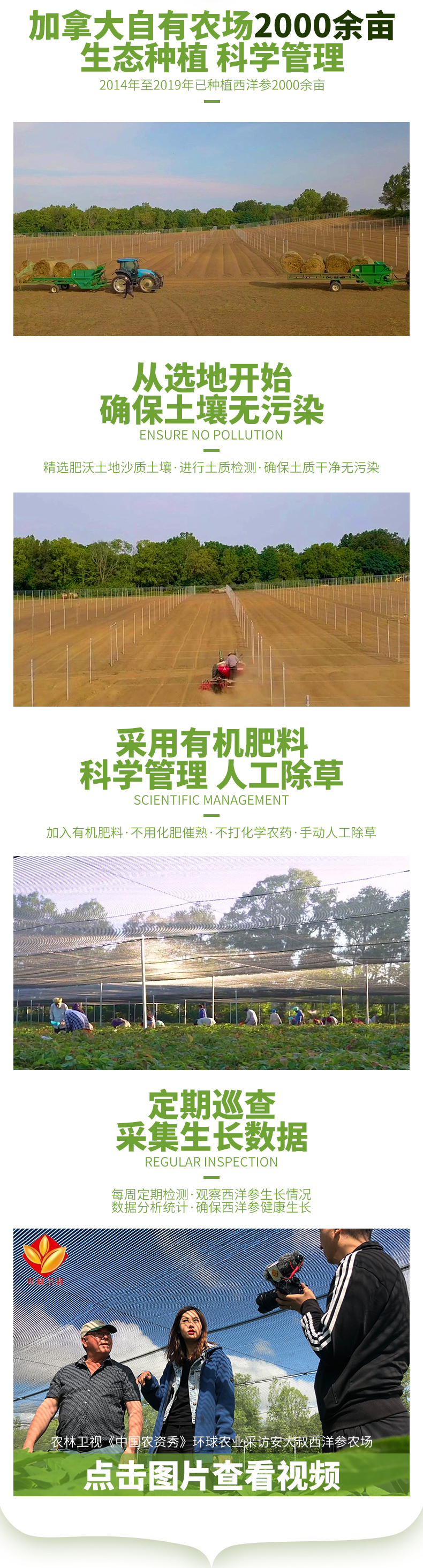 新的-片_02.jpg